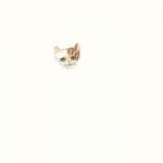 Original Kitty Colored Pencil Drawing Ooak Tabby